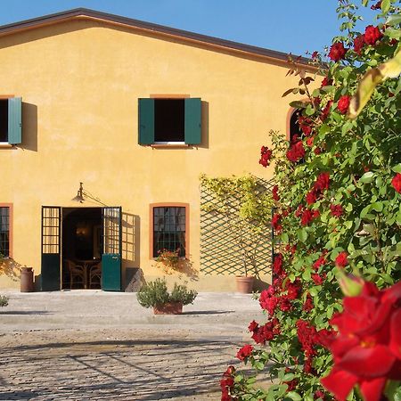Agriturismo Le Colombaie Бусето Екстериор снимка